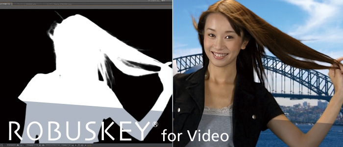 ROBUSKEY for Video